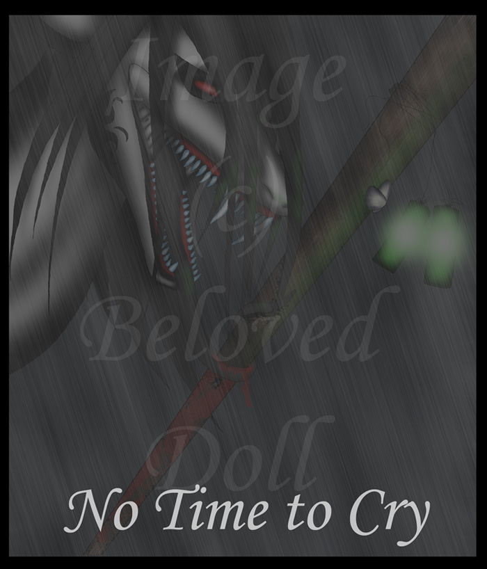 No Time to Cry